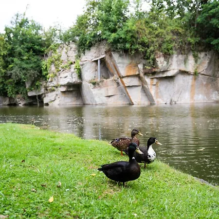 Dom wakacyjny Carriere De La Tour Condé-sur-Sarthe